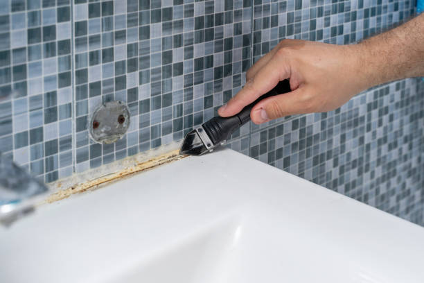 Best White Mold Remediation in Erie, IL